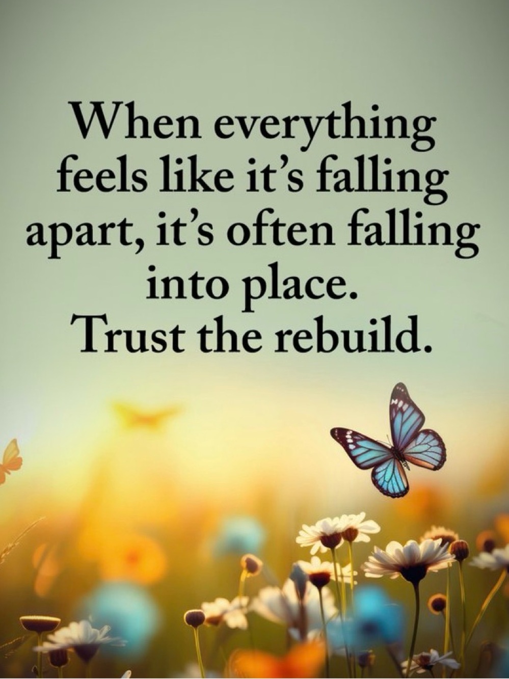 Thank You 😊 - Picture 8 of 8